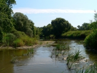 Kerka folyó és élővilága